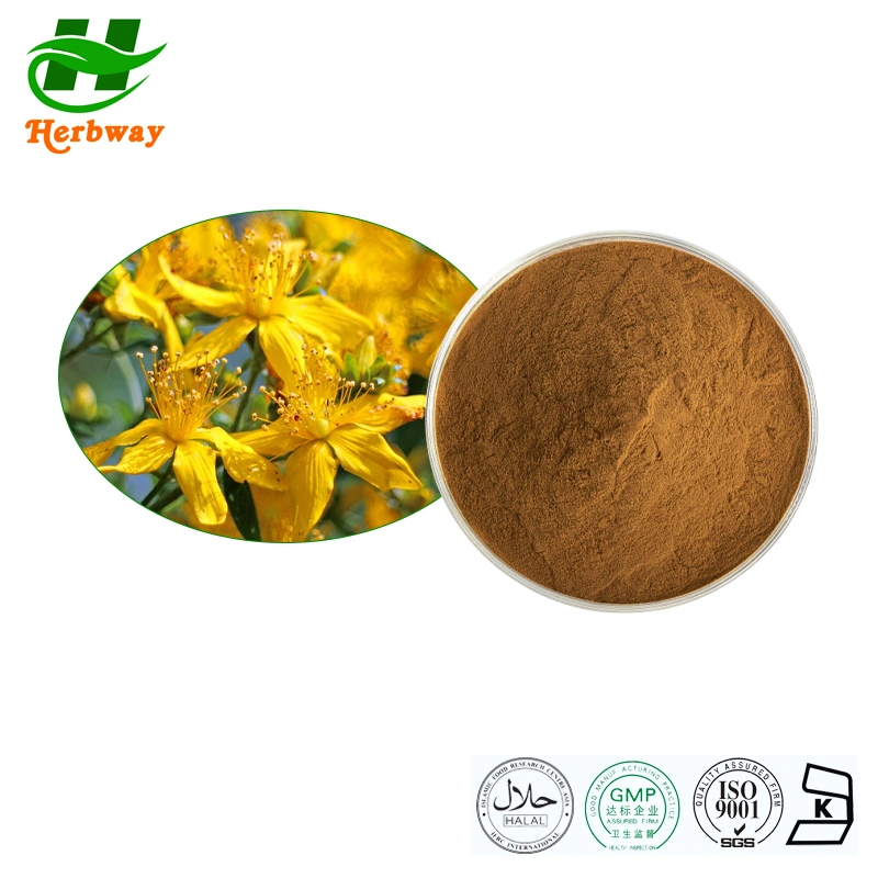 Extracto de plantas Herbway Precio al por mayor Extracto de Hypericum Perforatum polvo de Hipericina Materias primas cosméticas