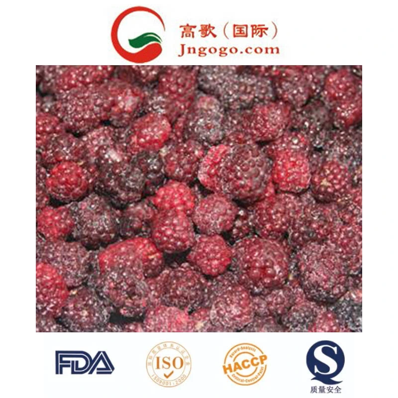 Export Quality IQF Frozen Blackberry and Frozen Fruits