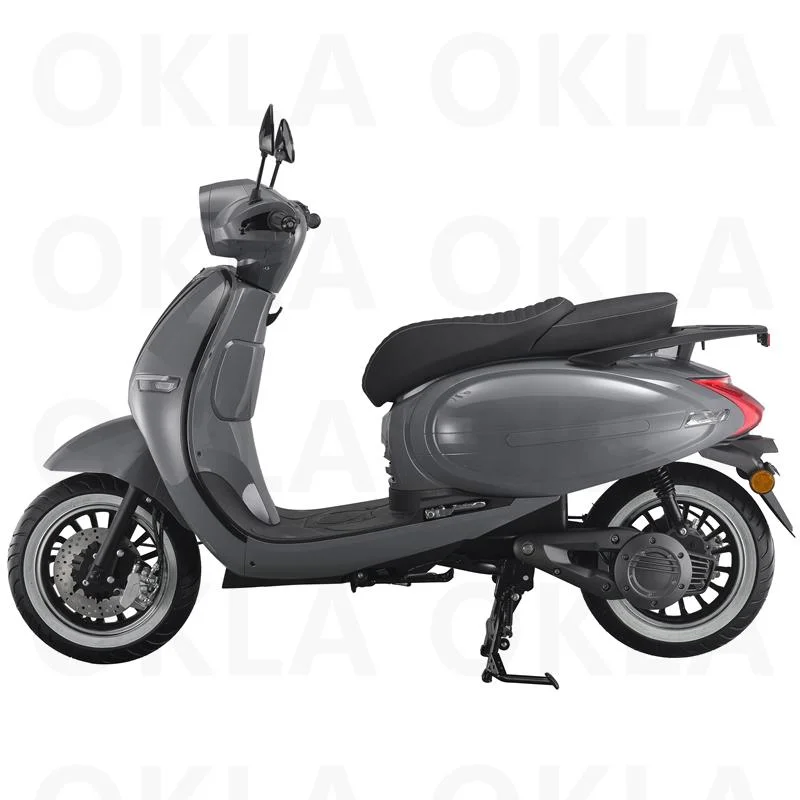 Best Moped Electric Scooter Bike with Aluminum/Iron Wheels