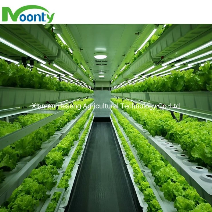 Vertical Hydroponic Shipping Container Farm for Indoor Vegetables Growing Smart Greenhouse Crops Planting Aeroponic Growing System for Medical Herbs