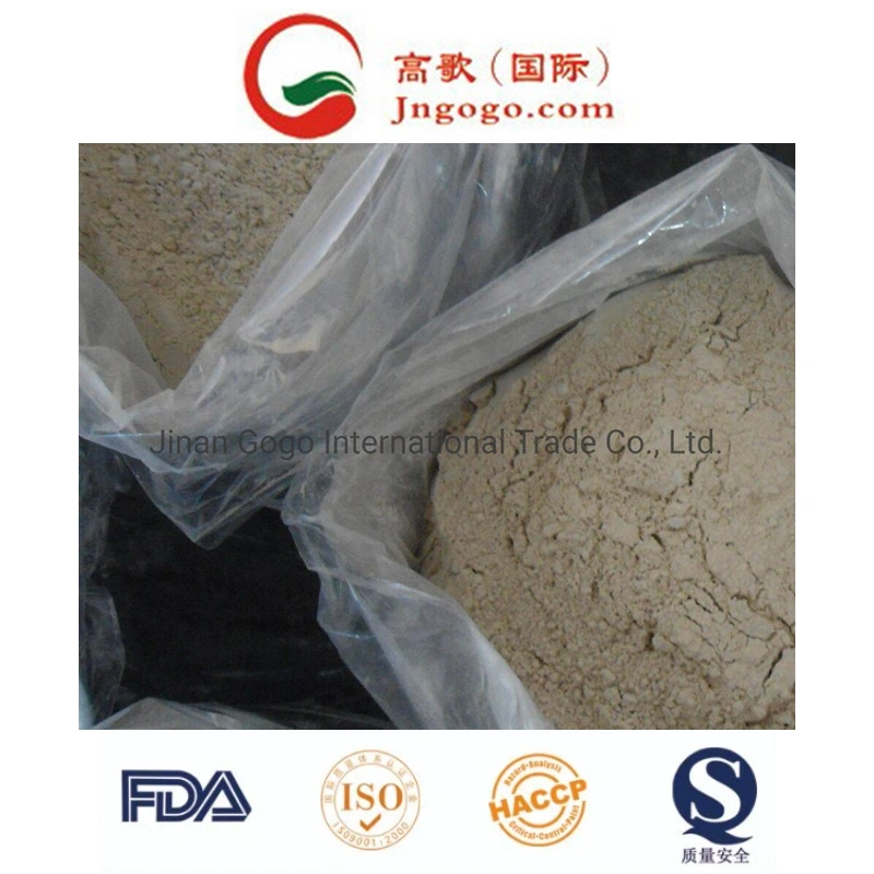 Fresh Natural White Garlic Powder Grade a