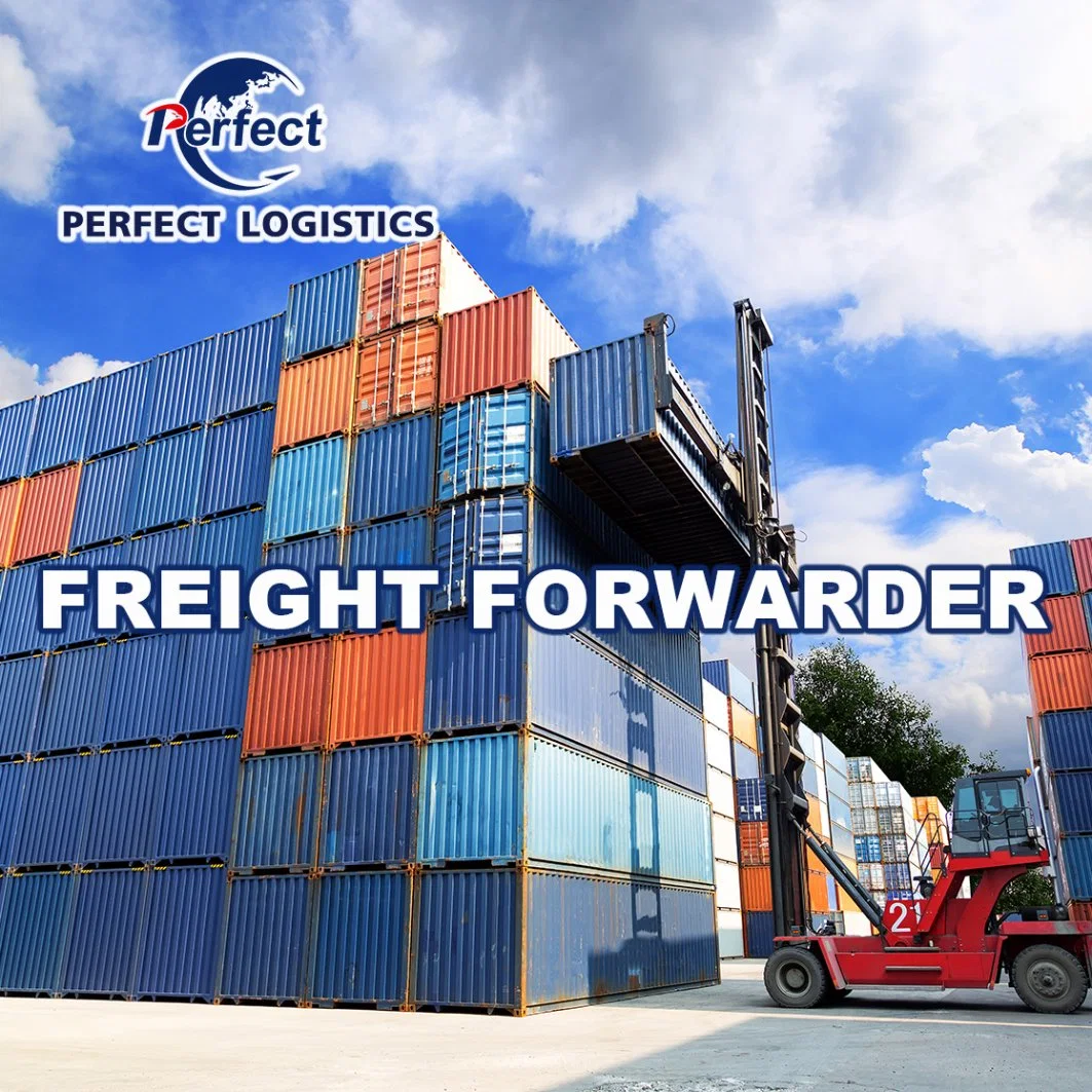 International Freight Shipping Forwarder From China to USA Germany Canada UK France Italy Europe Cargo Cheap Express Agent