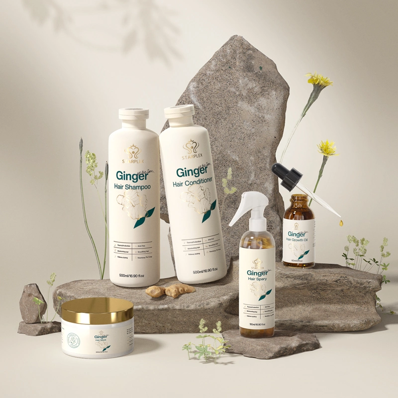 Private Label Shampoo Haarpflege-Set Bio natürliche OEM stärken Anti-Haarausfall Ingwer Shampoo und Conditioner Set