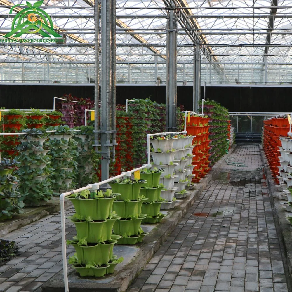 Good Price Vertical Farming Hydroponic Channel System and Nft Growing Systems for Greenhouse