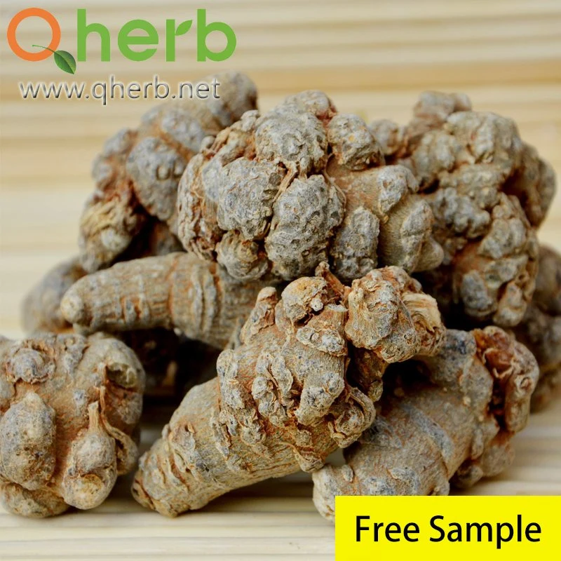 Radix Pseudoginseng Powder 100 Mesh (San Qi Fen)