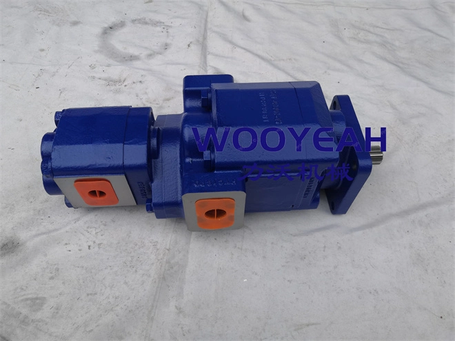 4120006298 1124232290 Gear Pumpssdlg L958f L968f Radlader Ersatzteile