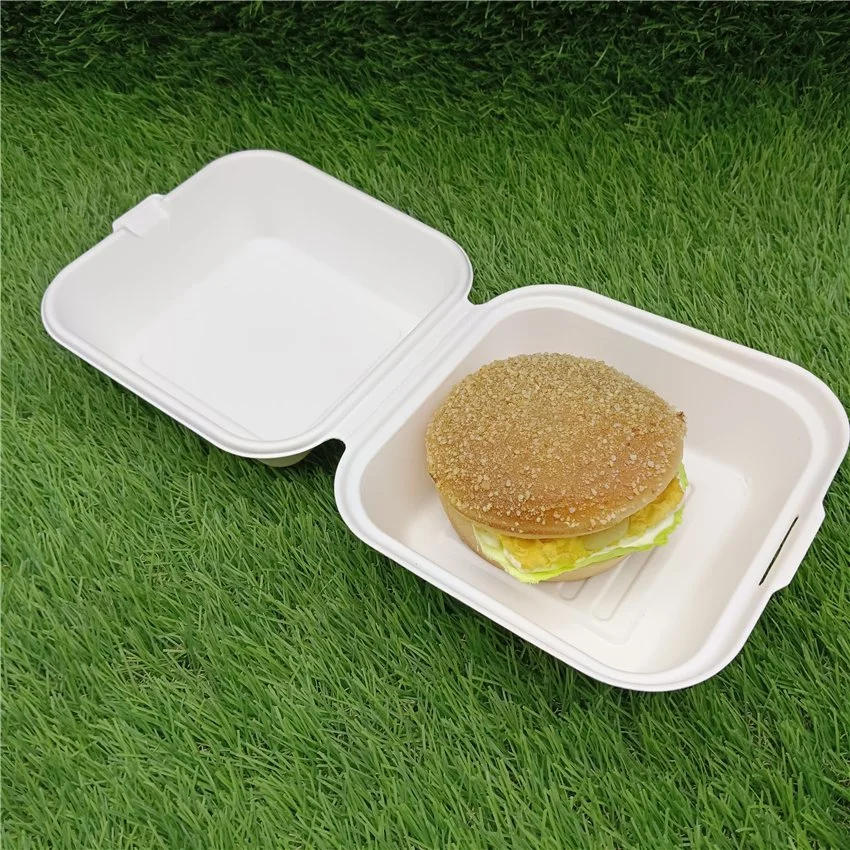 Single Compartment Clamshell Takeout Box Made From Eco-Friendly Plant Fibers