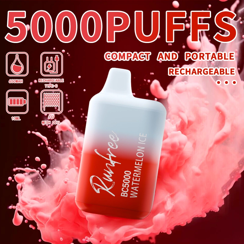 Wholesale/Supplier Puff Disposable/Chargeable Vape rechargeable Shenzhen BC5000 650 mAh mesh Coil Vapeur de marque de l'herbe sèche