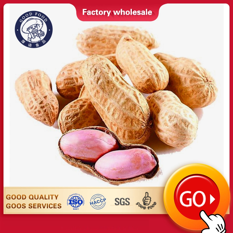 Customized Peanut Shell Exports Crop Milk Taste Roasted Peanuts