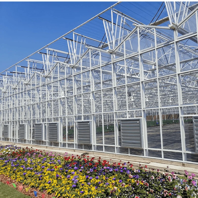 Stereo-Glass Greenhouse High-End Smart Vegetable Planting Wholesale Greenhouse Construction