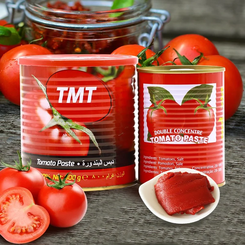 Prix de la pâte de tomate 70g Fournisseurs de tomates en gros Sauce en conserve