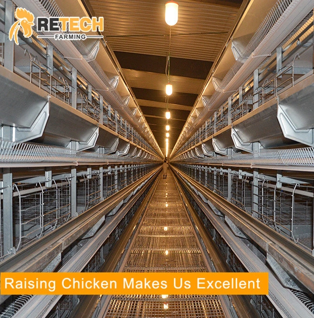 Automatic laying hen cage equipment for poultry farms