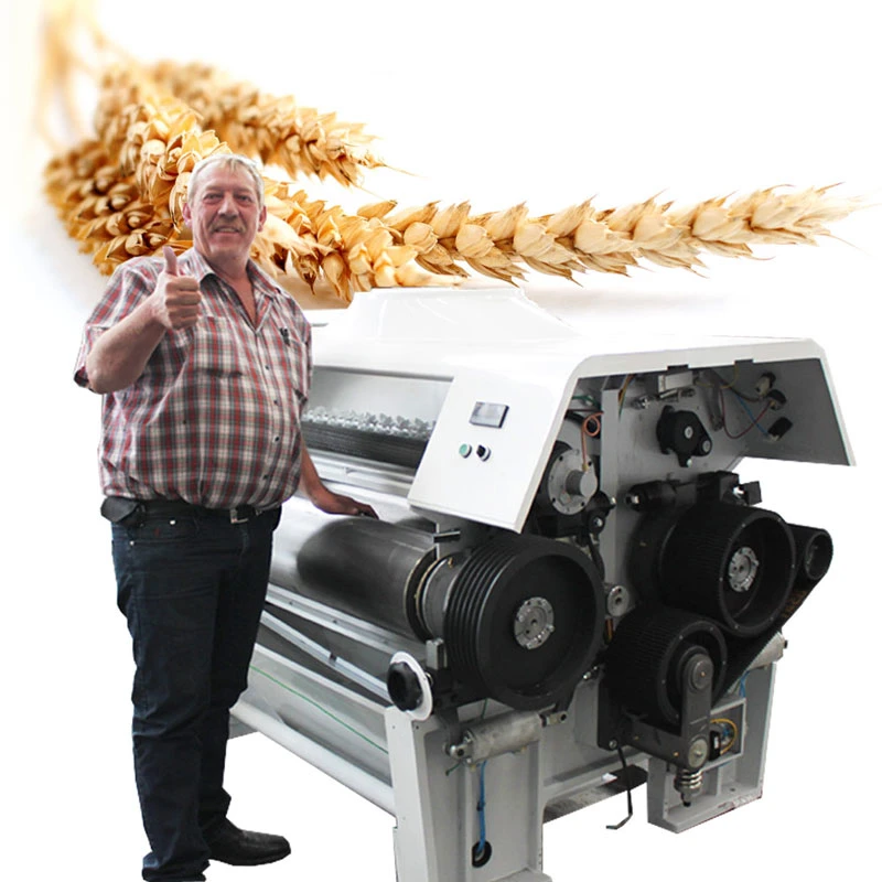 Professional Manufacture Wheat Machines Flour Processing