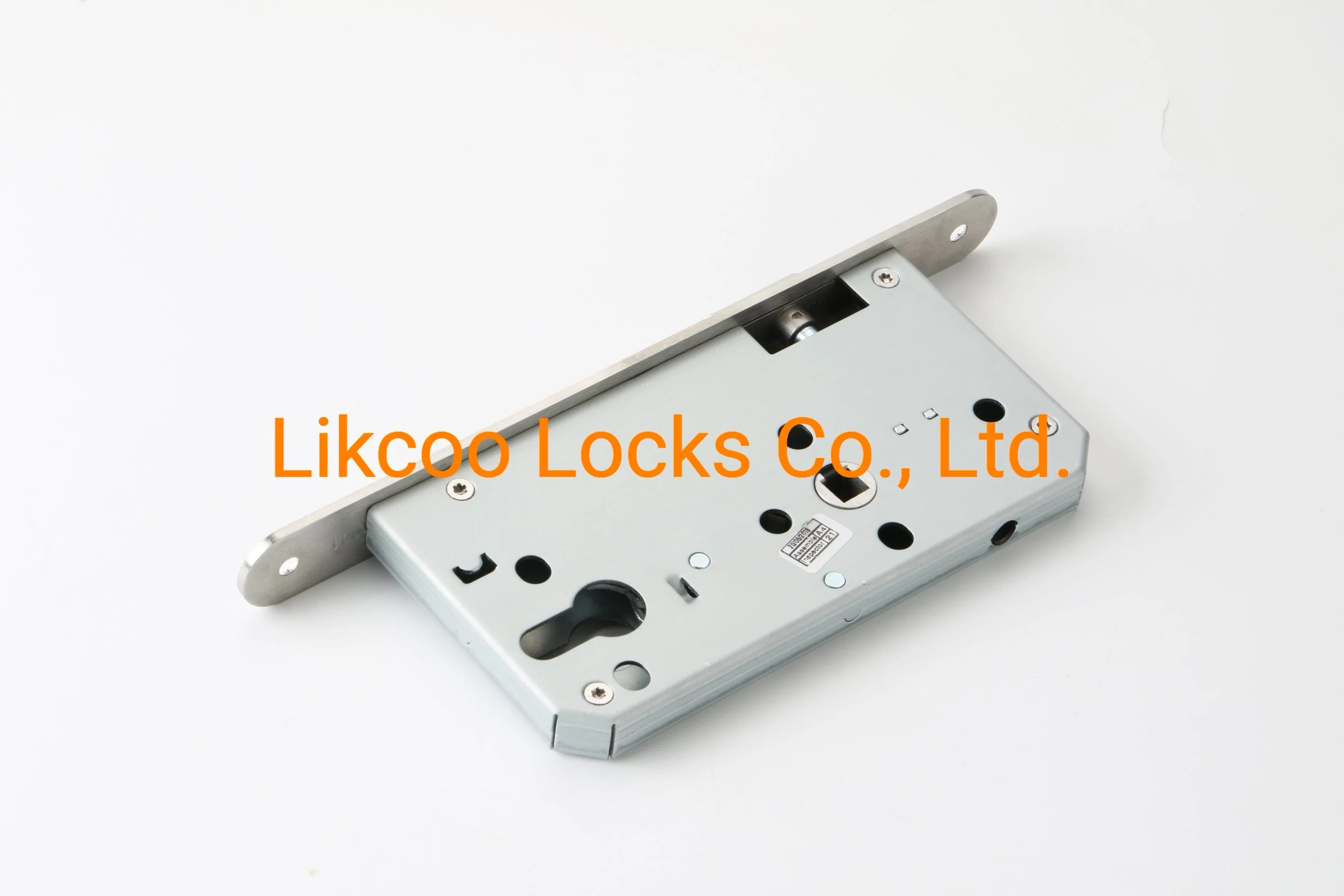 Stainless Steel Casting Door Handle (SH001)