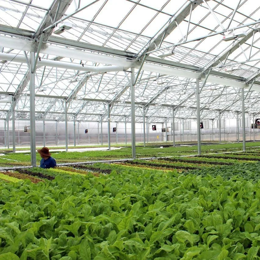 Serre en verre semi-fermé pour l'agriculture agricole