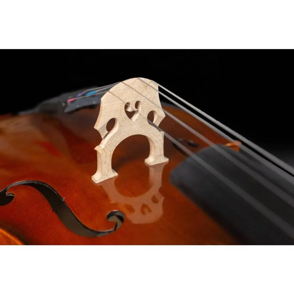 Music High-Quality Beautiful Flame Maple Handmade Professional Cello