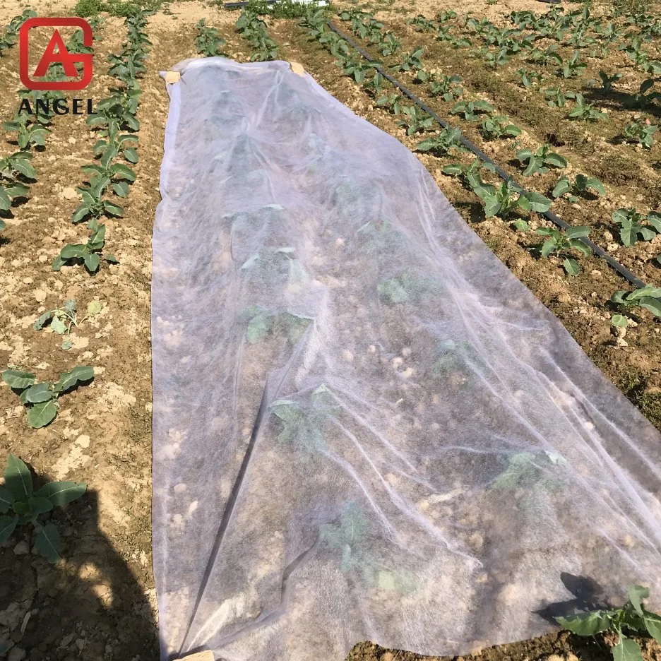 Add UV 100%PP Nonwoven Agriculture Cover Fabric