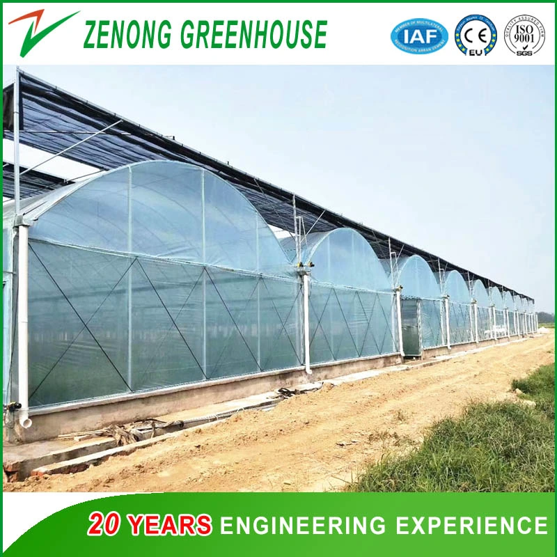 Commercial Greenhouse Film Greenhouse with Automatic System for Planting Tomota, Cucumber, Lettuce