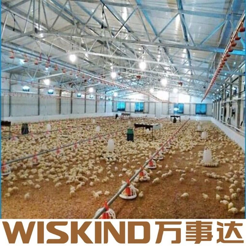 Economical Steel Structural Poultry Farm with SGS ISO Steel