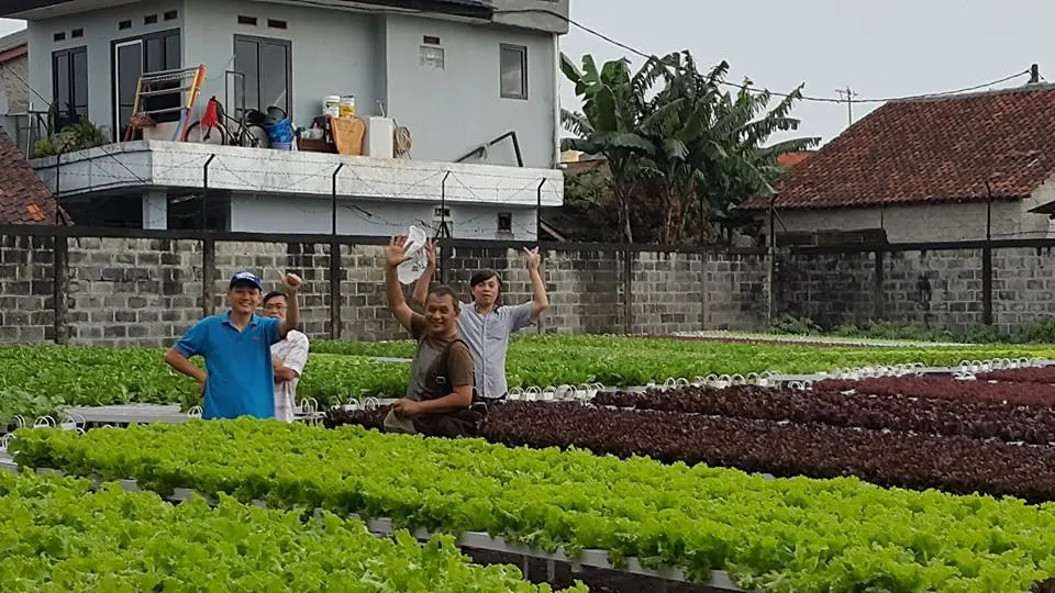 Hydroponics Nft System with Holes Kits Vertical Hydroponic Growing Systems PVC Tube Plant Vegetable