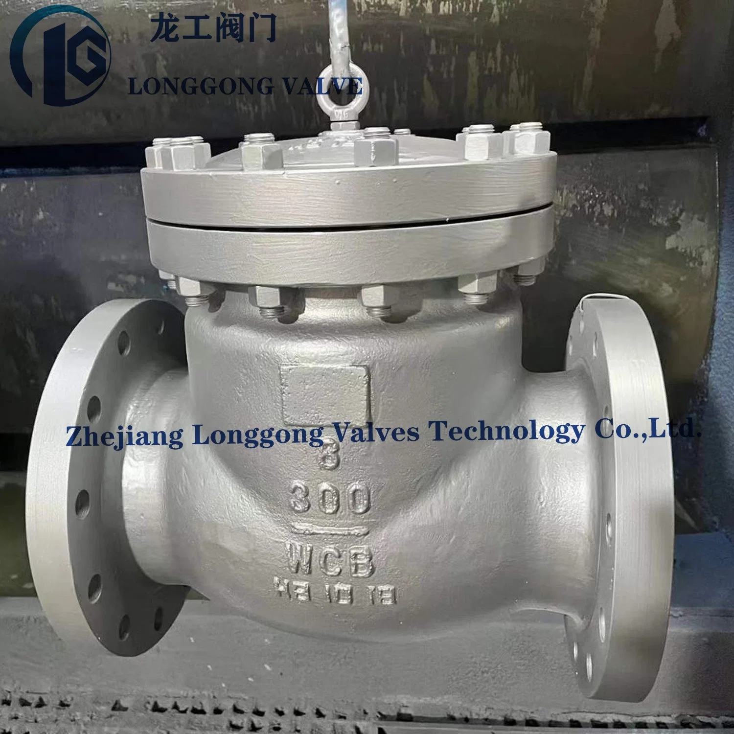 API 6D/BS1868/API594 Wcb/SS304/SS316 Cast Steel&Stainless Steel Flanged Swing Check Valve/Non Return Valve/Wafer Dual Plate/Single Plate Check Valve Nace Mr0175