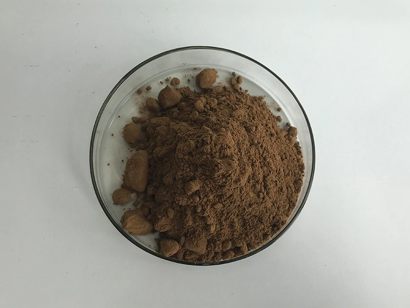 Enhance Immunity Ganoderma Lucidum Spore Powder