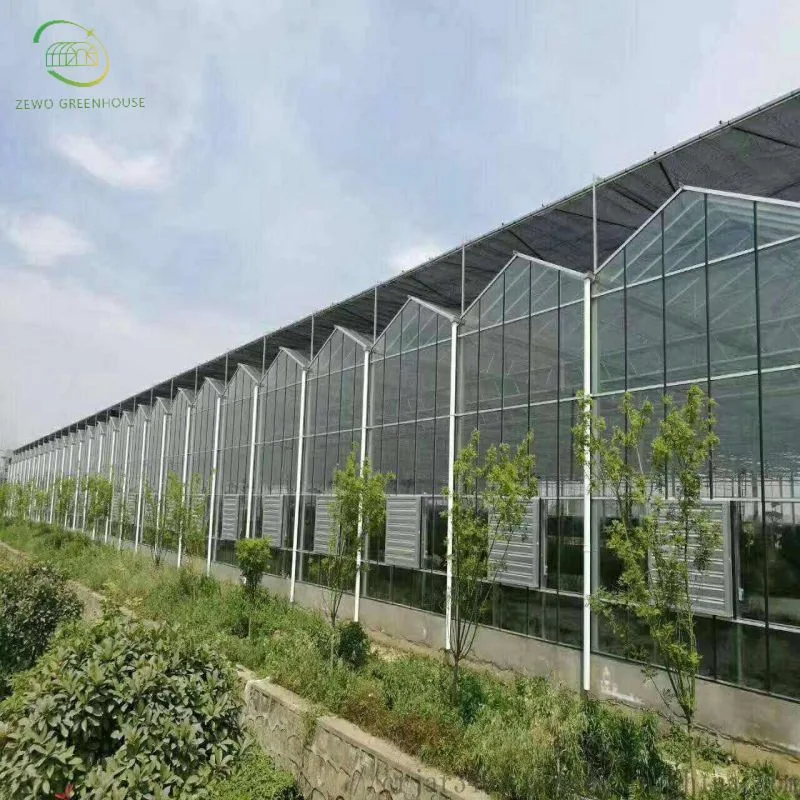 Jardim Agrícola moderno estufa de vidro multi-span com Cooling Pad / sistema hidropônico Para legumes/morango