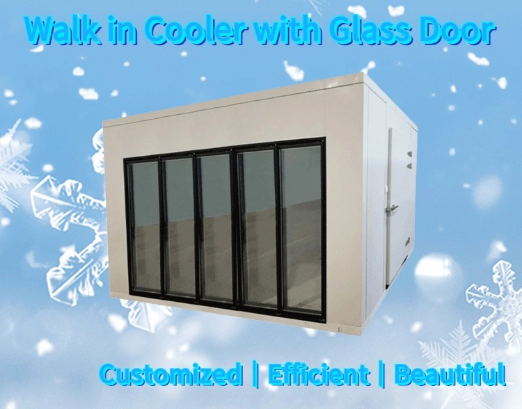 Hot Sale Refrigerator Display Walk in Cooler for Customized Size