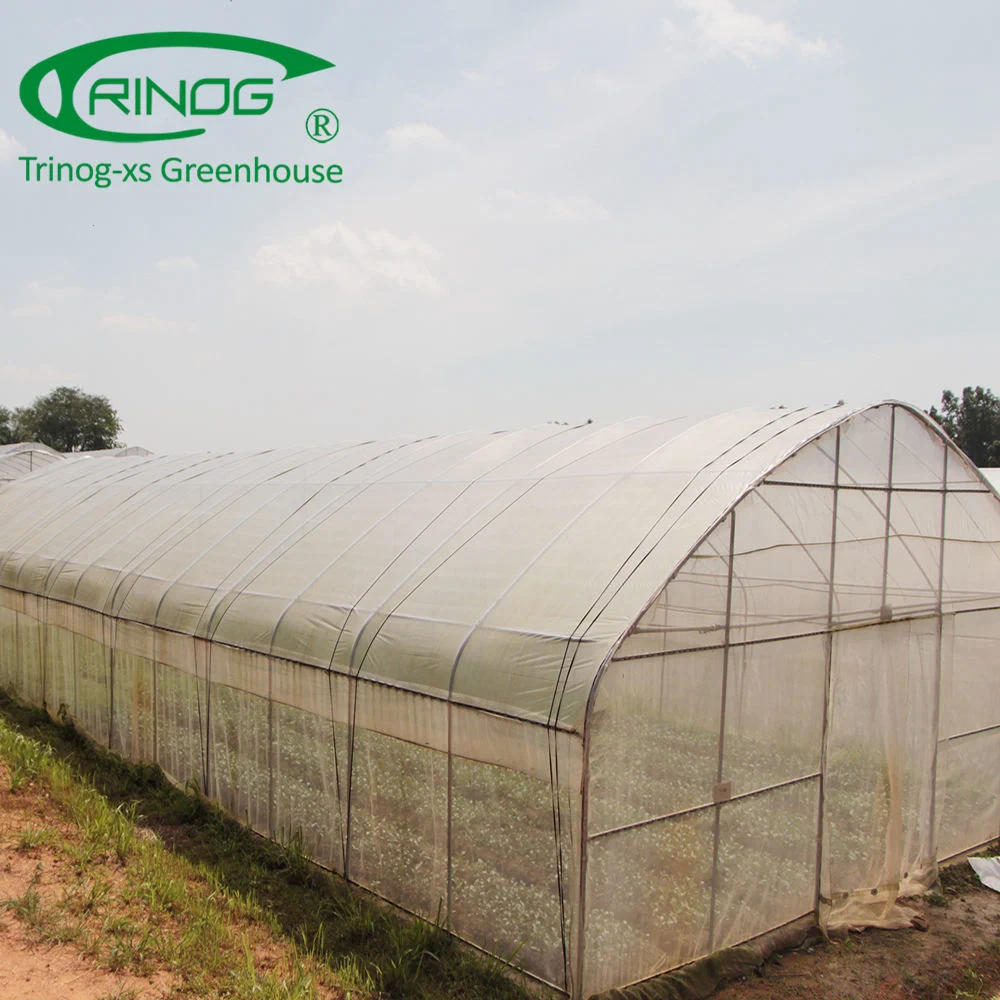 Commercial Large Plastic Single Span Film Green House