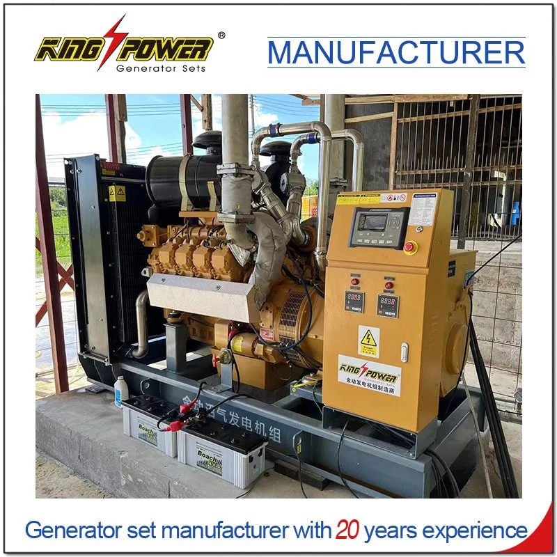 225kw Professional Supplier of Silent Natural Gas CNG LPG Generator