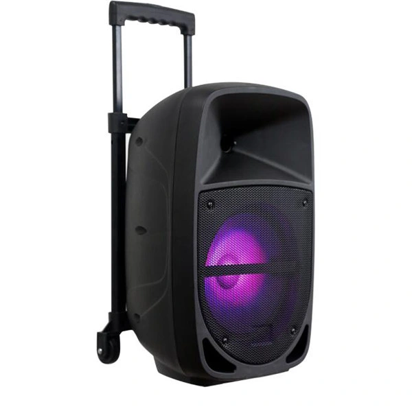 2020 Wholesale Custom Portable Karaoke Speaker System