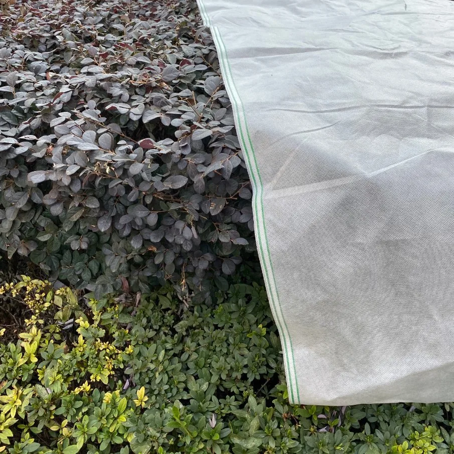 China Wholesale/Supplier 50GSM Anti UV Nonwoven Greenhouse Cover Plant Winter Jacket Breathable Fruit Bag Plant Protection Cover