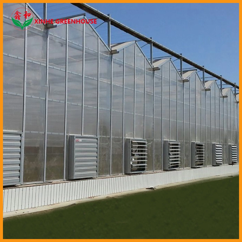 Single Layer PC Sheet Greenhouse for Russia