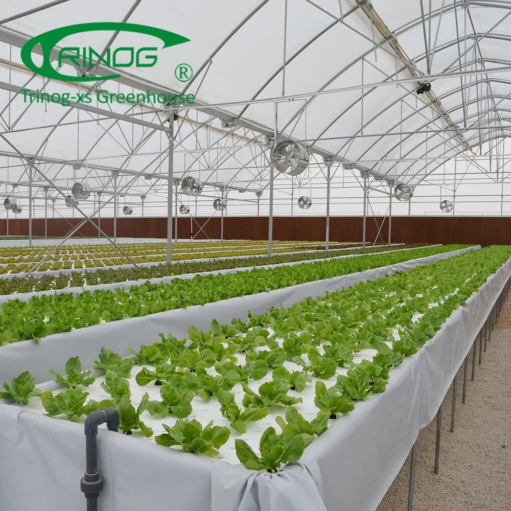 Cost-effective Film Agriculture Greenhouse With Hydroponic Growing System