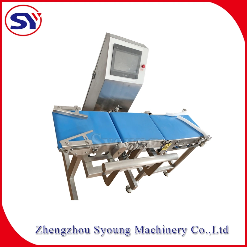 High Speed Online Checkweigher Food Belt Check Weigher Weight Machine Weigher