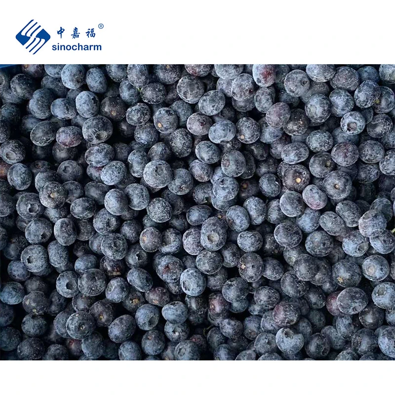 Sinocharm HACCP Wholesale Price 500g Frozen Wild Blueberry