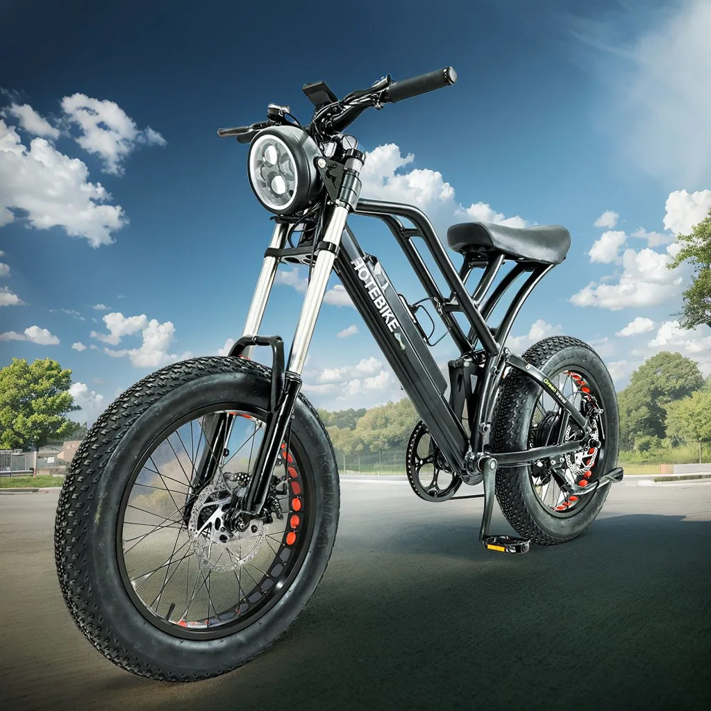 جمليّة ركاريّة كهربائيّة دراجة جبل [فتريك] 20بوصة سمينة [توير] كهربائيّة Dirtbike جديد 20 بوصة الدهون الإطار E الدراجة