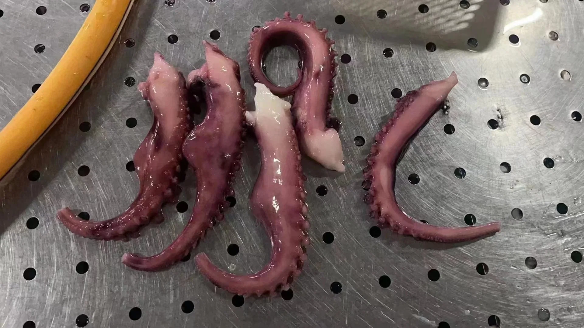 مجمّد هوت سالوس سيفوود igas Squid/Calamar POTA stenacle مع رخيصة السعر