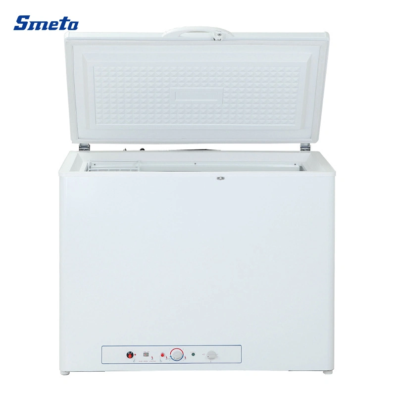 DSG-200b1 Chest Type Home Appliances 200L Natural Gas Chest Deep Freezer