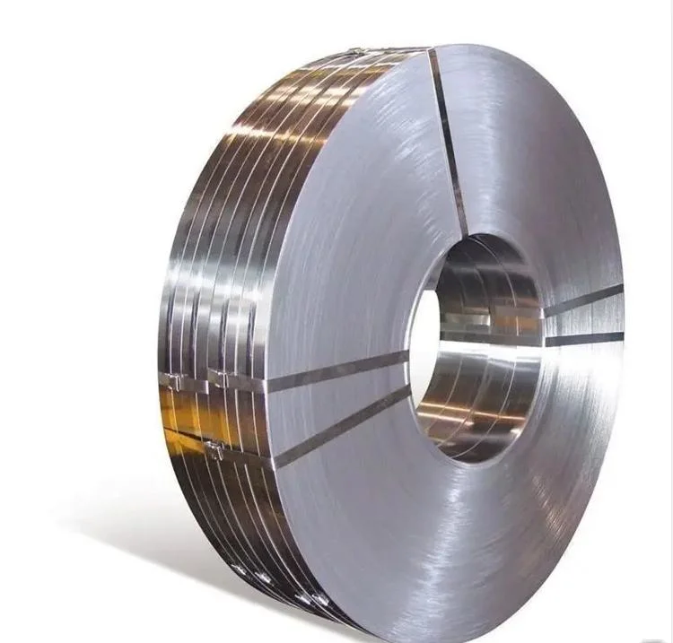 Stainless Steel Strip/Coil/Tape/Band for Sale with 1 mm Thickness ASTM 301 304 316 Cold Rolled