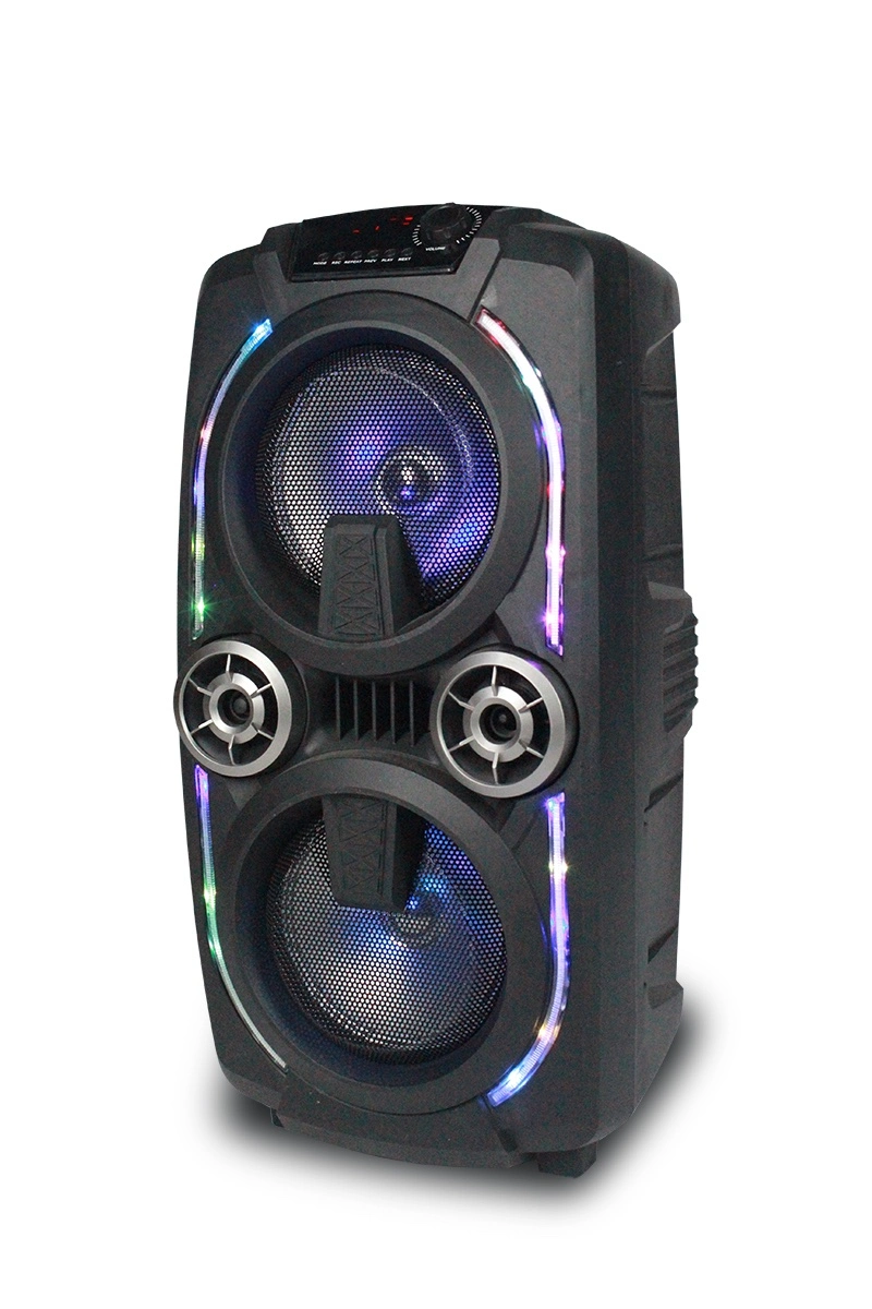 Double 10 12 Inch PRO Audio Bluetooth Speaker with Bluetooth DJ Karaoke