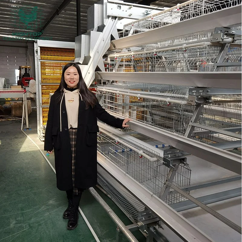 Granja avícola completamente automática de agua potable las jaulas en batería de alimentación de gallinas ponedoras Vender en Kenia