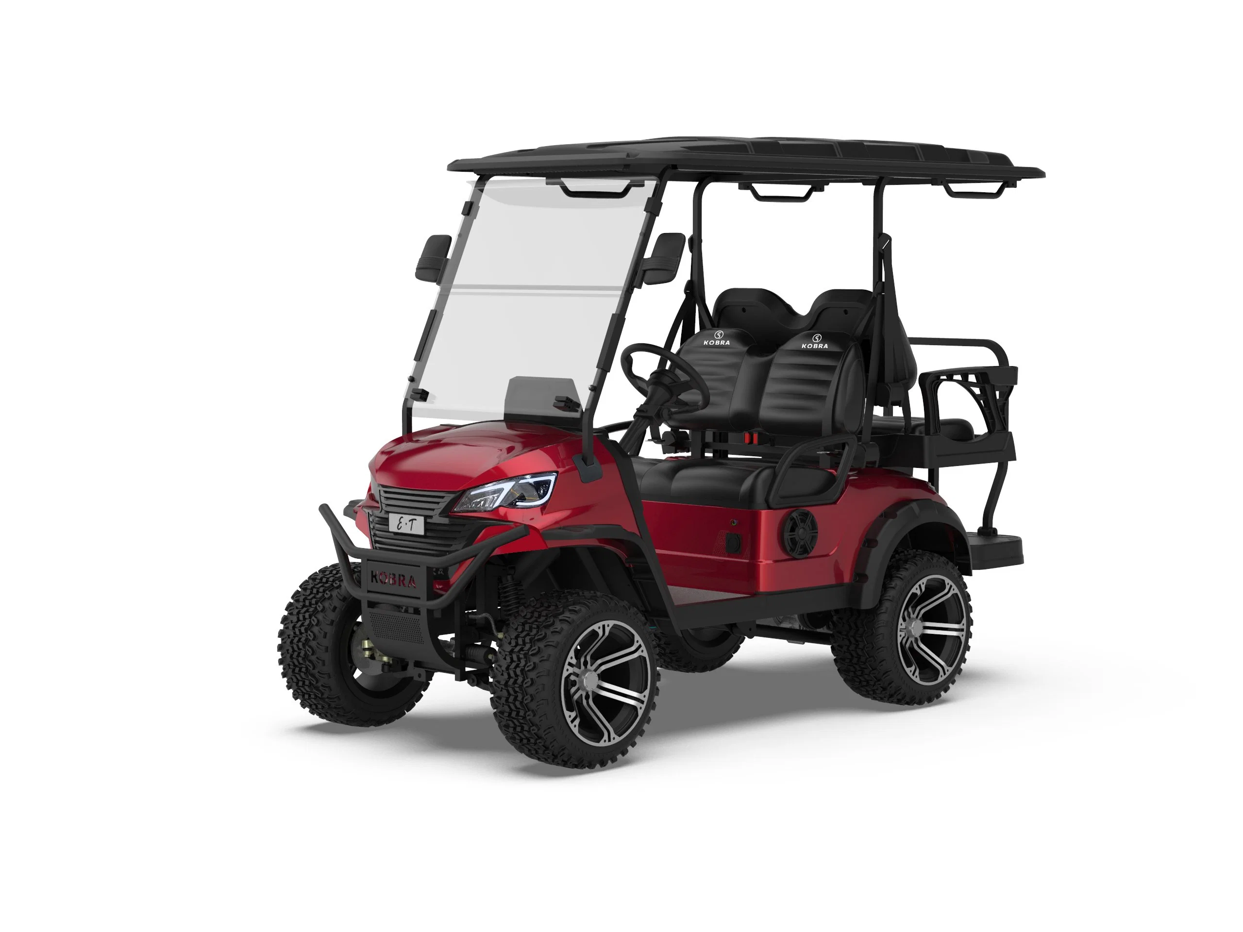 Royal 48V Back to Back Seat Battery Powered Electric Golf Carro