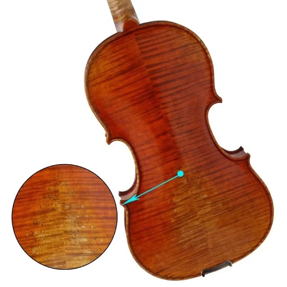 Factory Hot Sale Spruce German Cheap Kit for Students Violin