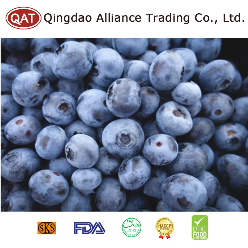 2021 Top Quality Frozen Blueberry with Good Price