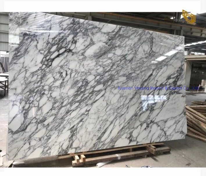 White Marble Slab/Countertop/Vanitys/Bartops for Kitchen/Backsplash/Bathroom for Hotel Project Wholesale/Supplier