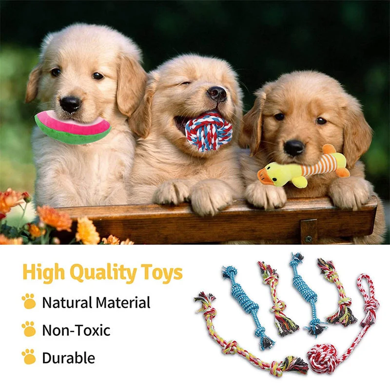 Customised Chewable Dental Toy for Dogs