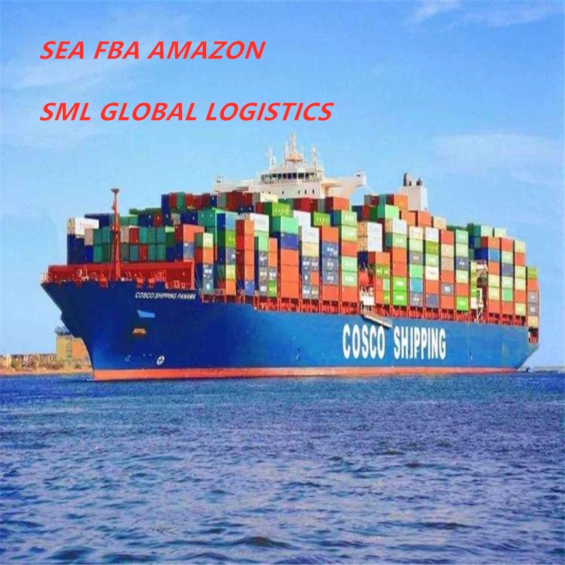 DDP Sea Freight Shipping Tocape Verde/France/Saint Martin/Italie/Malte/Espagne/Algérie/Egyptfba Amazon agents Logistics