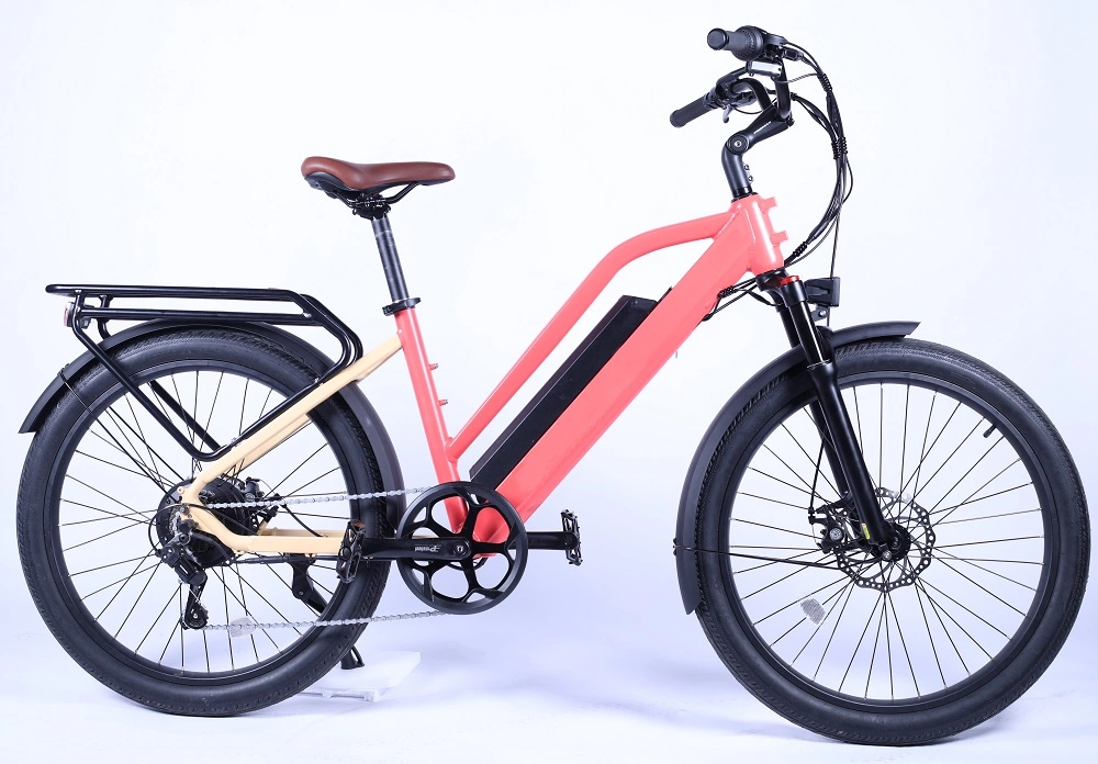 500W Urban Electric Bike Commuting