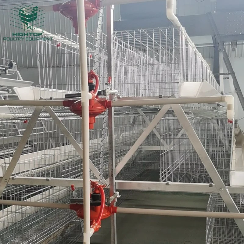 Low Cost Art Egg Laying Geflügel Hühnerschicht Käfig Mit Feeder System In Philippinen